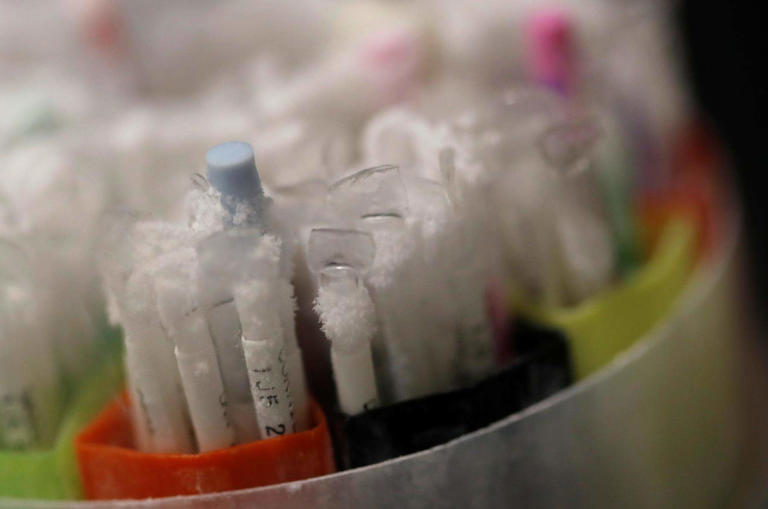 Italia permite inseminarea artificială pentru văduve