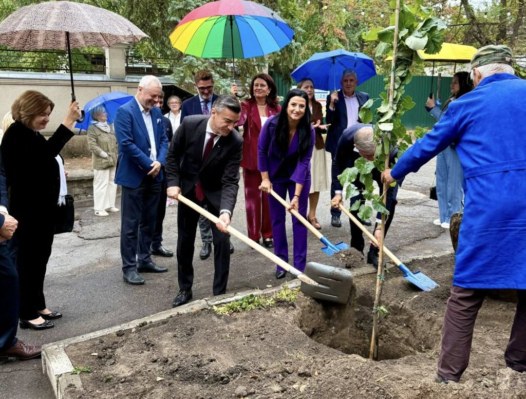 Lăstari din teiul lui Eminescu, plantați la Chișinău. Inițiativa aparține Laurei Hant, președintele Asociației „Mihai Eminescu” din Viena